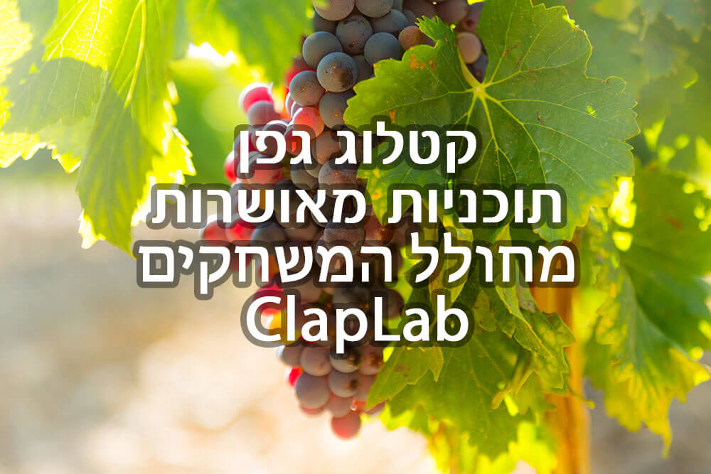 משחק במתנה לפתיחת שנה - קטלוג גפן תוכניות מאושרות מחולל המשחקים ClapLab