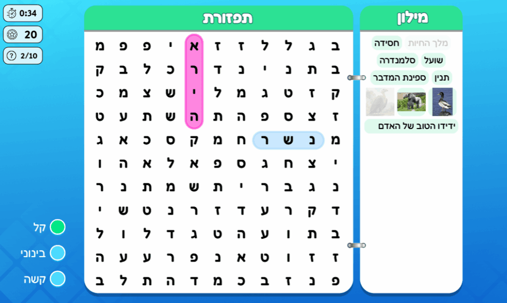 משחק תפזורת לדוגמה
